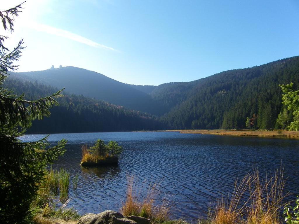 Landgasthof Brandtner Wirt Langdorf  Luaran gambar