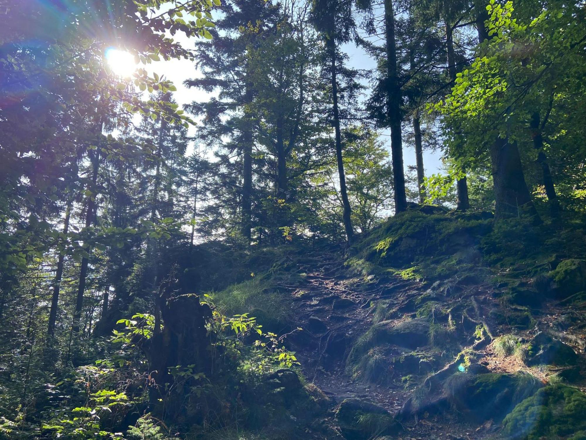 Landgasthof Brandtner Wirt Langdorf  Luaran gambar