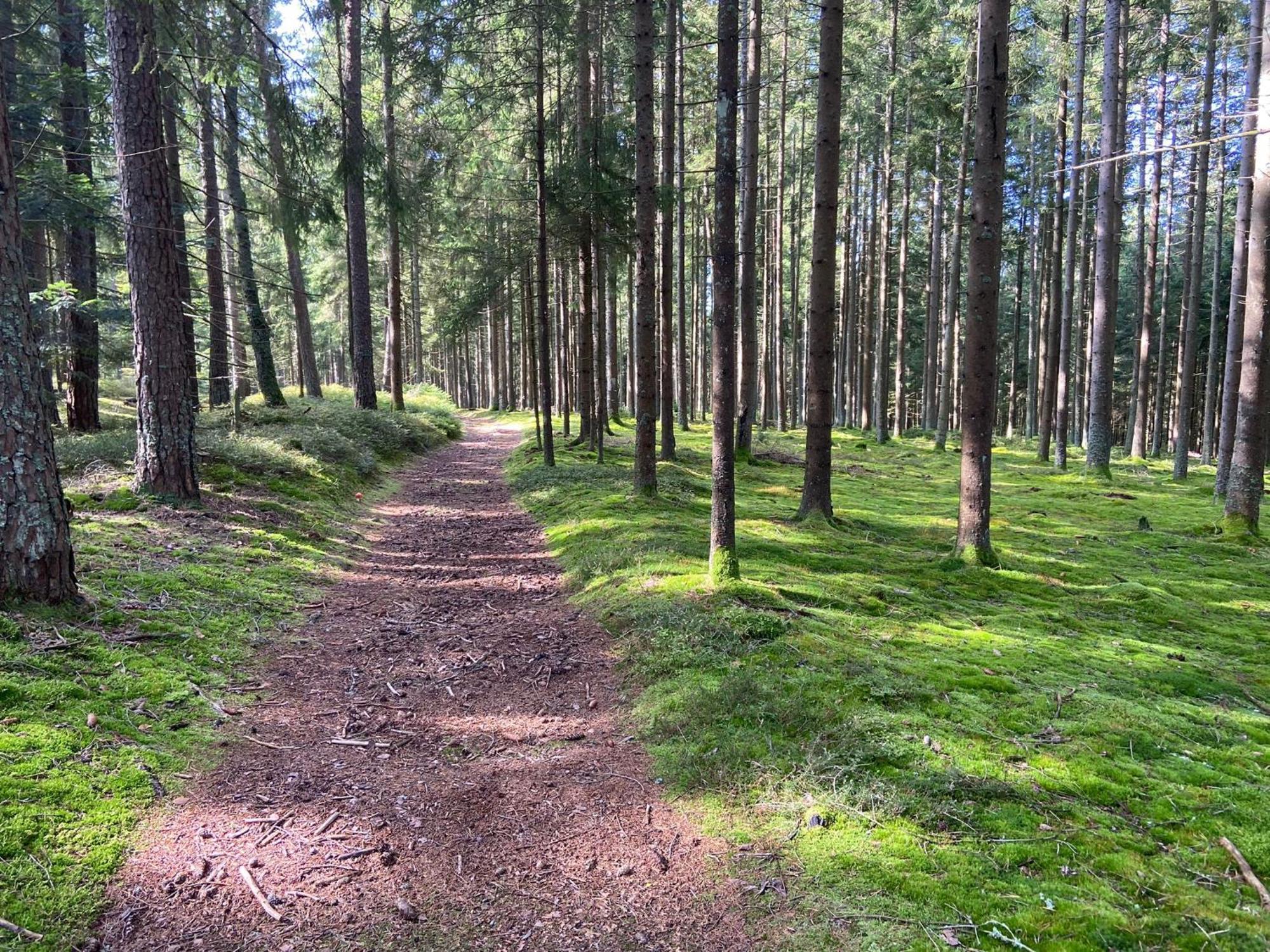 Landgasthof Brandtner Wirt Langdorf  Luaran gambar