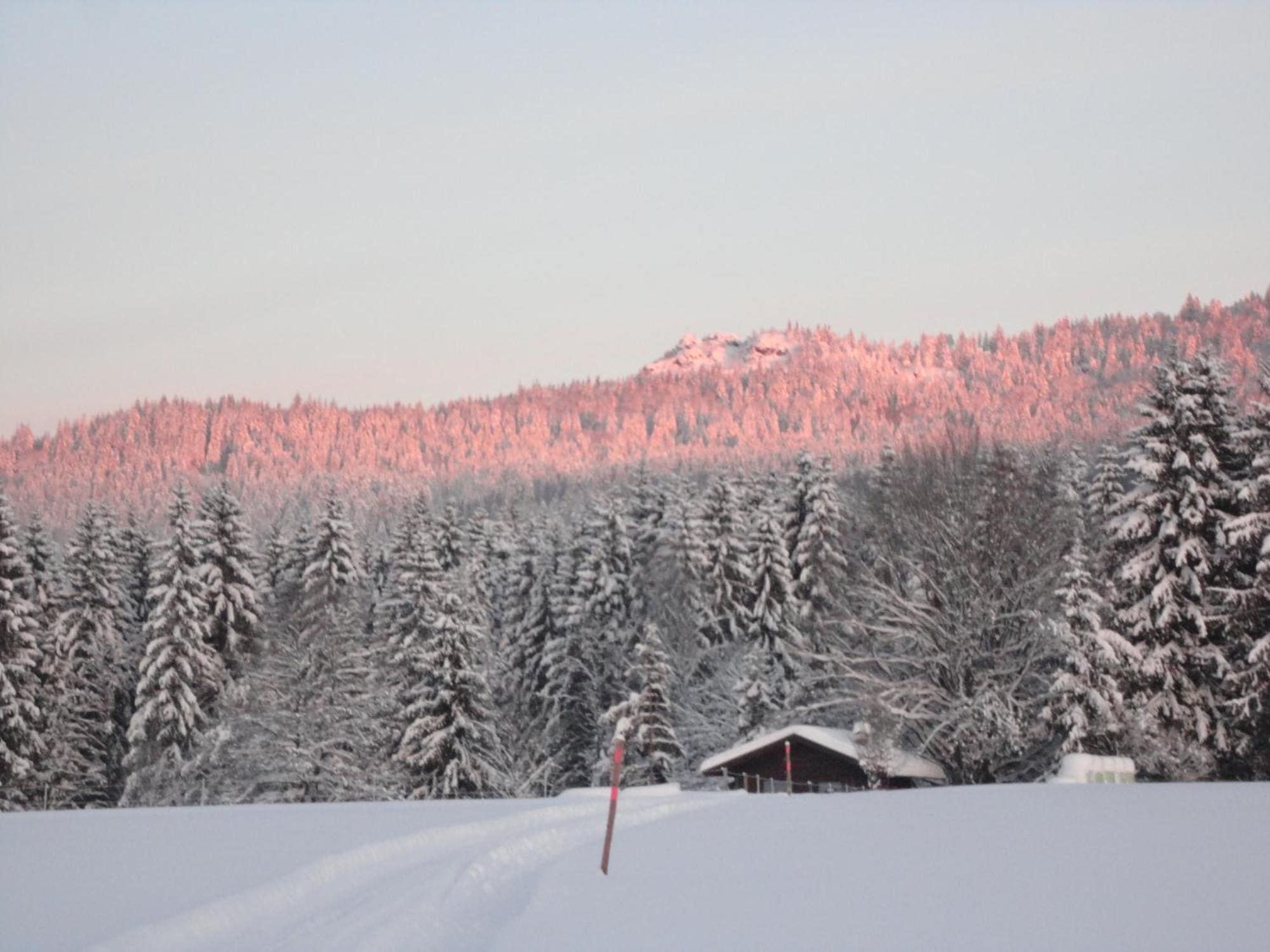 Landgasthof Brandtner Wirt Langdorf  Luaran gambar