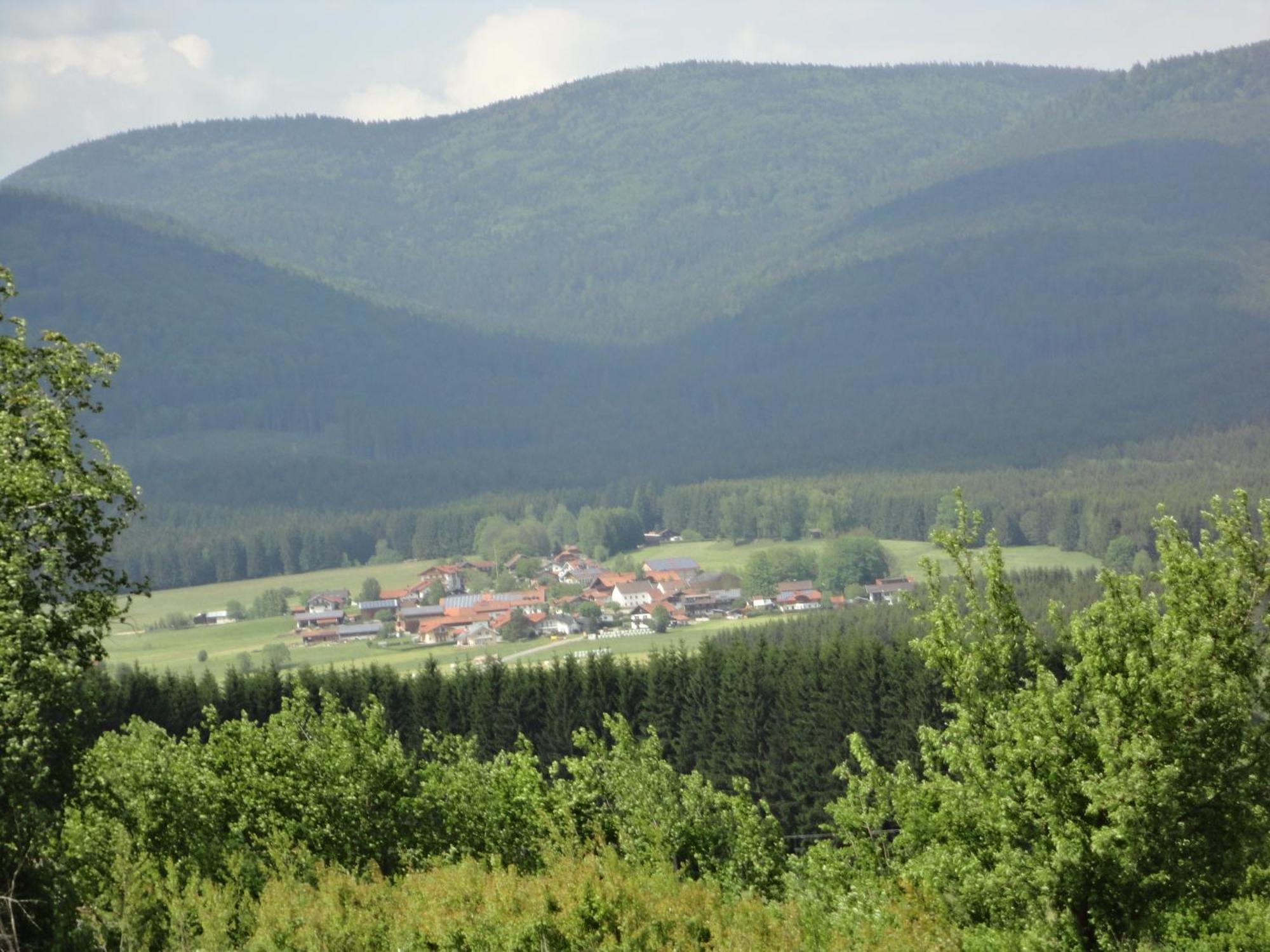 Landgasthof Brandtner Wirt Langdorf  Luaran gambar